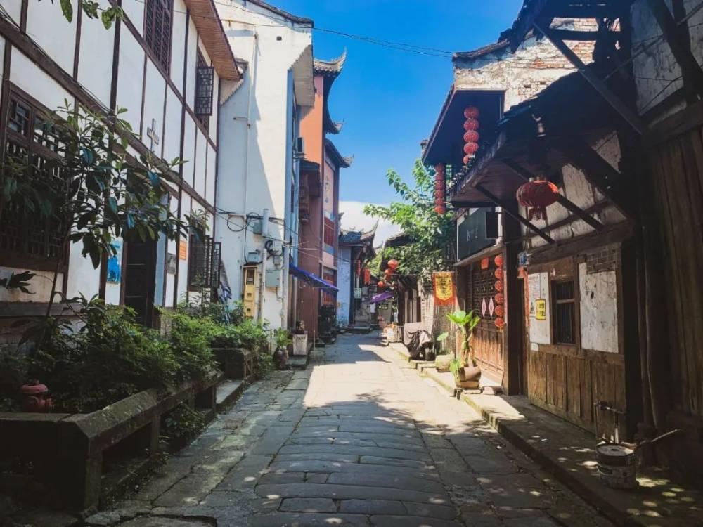 小鸡要回家